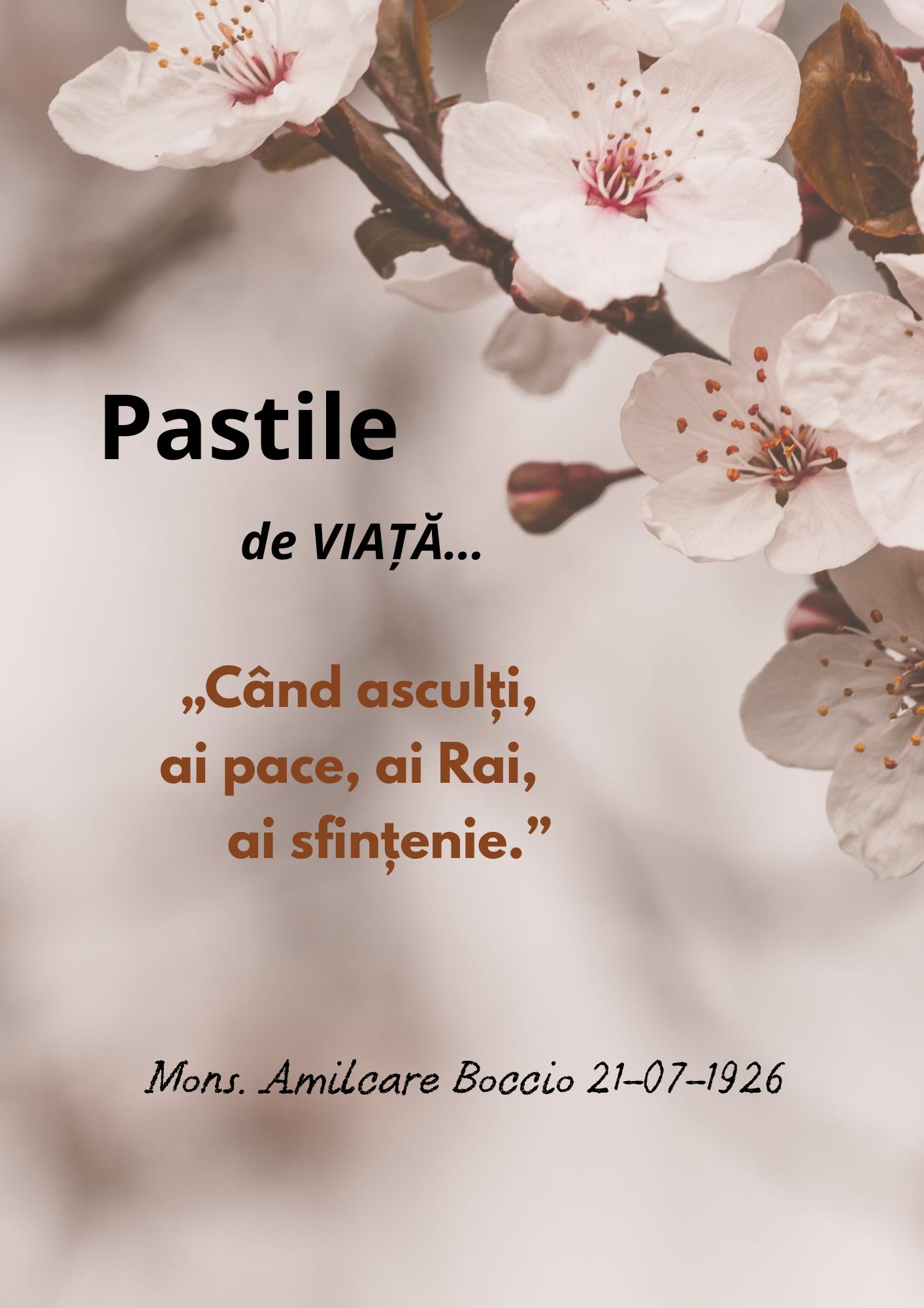 Piccole Figlie del Sacro Cuore di Ges&ugrave;